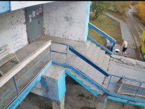 Жуткий случай в Якутске: овчарка набросилась на 10-летнего ребенка