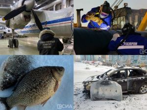 Обзор интересных и популярных новостей в Якутии за 19 ноября