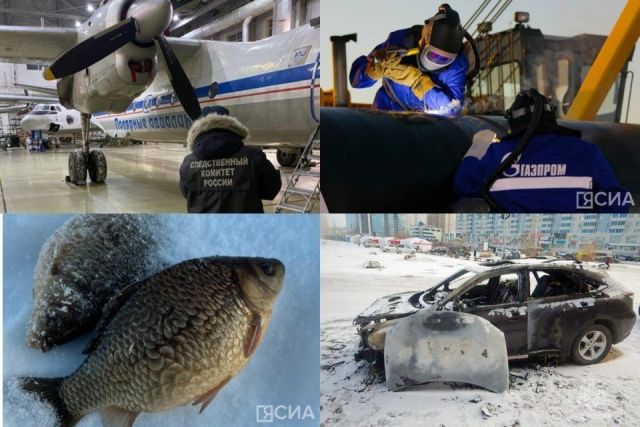 Обзор интересных и популярных новостей в Якутии за 19 ноября