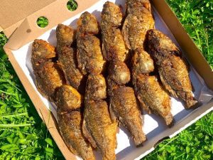 Жительница Мегино-Кангаласского района Якутии открыла свой бизнес по соцконтракту