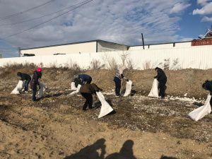 В Гагаринском округе на субботниках приняли участие более 1600 человек