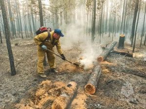 Обеспечьте Алданское лесничество хотя бы летающими мётлами!