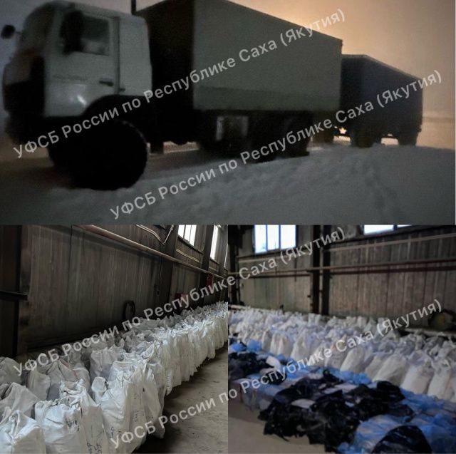 В Якутии двое мужчин пытались провезти 16 тонн нелегальной рыбы на 21 млн рублей: Возбуждено уголовное дело
