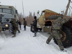 В Якутии при силовой поддержке спецподразделения СОБР задержаны "черные лесорубы"