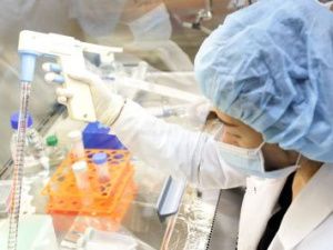 СВФУ представит технологию выращивания живых клеток