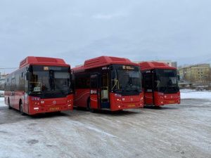 Автобусы МУП ЯПАК будут перевозить горожан в Родительский день