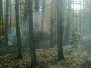 В Момском районе Якутии потушены все действовавшие пожары