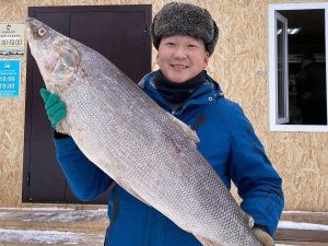 За два года построят 10 типовых гостиниц недалеко от Якутска