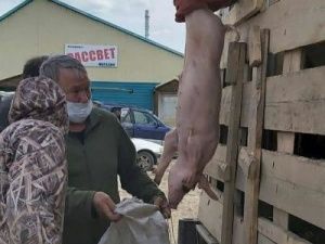 В Чурапчинском улусе продолжается реализация II этапа проекта по поддержке семей   