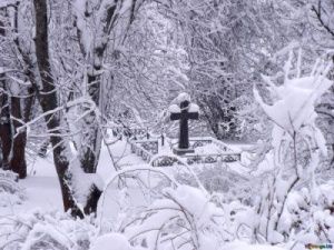 В Якутии мужчина скрыл смерть своей матери, чтобы получать за нее социальные выплаты