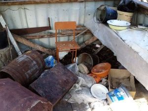 Неожиданный гость устроил погром