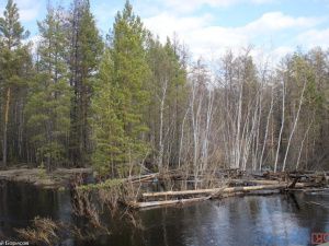 Жителям Олекминского района, пострадавшим от паводка, возместят потерю имущества из федбюджета