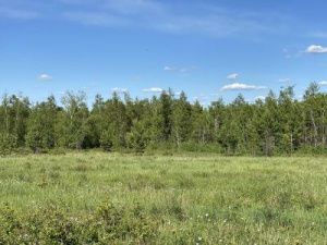 В Чурапчинском улусе отмечается улучшение ситуации с лесными пожарами