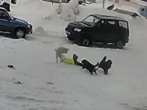 «Берегите детей!». Отец погибшей в Чульмане девочки собирается на прием в Москву