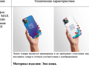 Госучреждение в Якутии закупит чехлы для элитных смартфонов