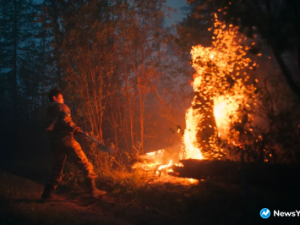 Все добровольцы в Якутии получили выплаты за тушение лесных пожаров. Общая сумма затрат составила свыше 475 миллионов рублей