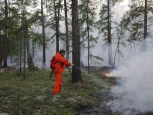 На пожаре вблизи Магана будет пущен встречный пал