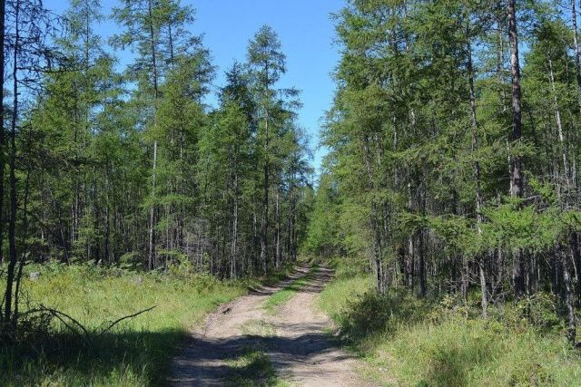 В Абыйском районе Якутии все выходные искали пропавшего без вести пенсионера