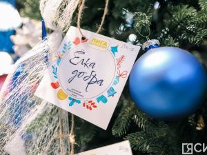 Айсен Николаев  дал старт благотворительной акции «Елка добра»