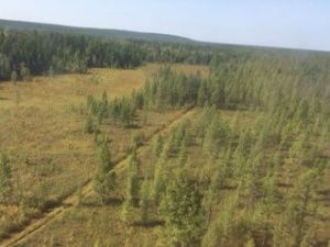 «Геологическая партия в Булунском районе до сих пор не найдена, связи с ними нет», — родственники пропавших