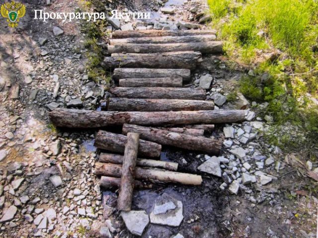Житель Хангаласского улуса обвинен в незаконной рубке деревьев на территории Национального парка «Ленские столбы»