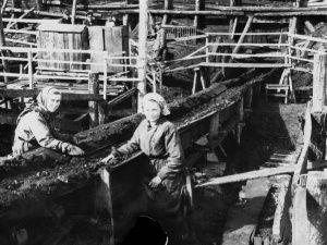 В годы войны в Якутии велась колоссальная работа по восстановлению всех показателей экономики