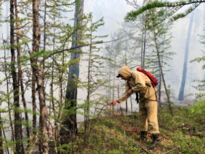 В Якутии пройдет климатическая экспедиция. Ее участники изучат ход восстановления лесов после пожаров в 2021 году