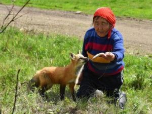 Зверовод из Нерюнгринского района Тамара Саввинова: «Хочу быть нужной и полезной»