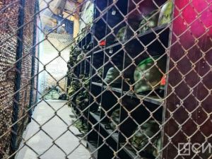 Якутия продолжает отправку гуманитарной помощи в зону СВО  