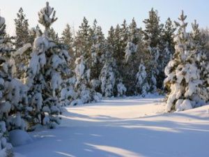 В Якутске снова потеплеет