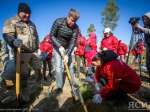 Телекомментатор Дмитрий Губерниев принял участие в акции по посадке саженцев «Сохраним лес» в Якутии