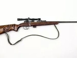 Якутянин ради интереса, чтобы опробовать найденный карабин, застрелил свою собаку в присутствии малолетней девочки