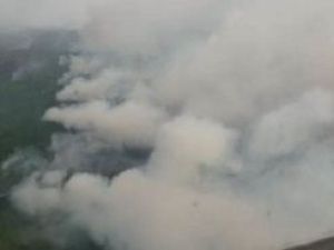 237 природных пожаров действуют в Якутии по данным Авиалесоохраны