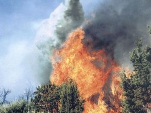 В Якутии самолёт авиапатруля подал сигнал бедствия и пропал с радаров