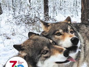 «Под стук колес»: журнал, который читают тысячи пассажиров