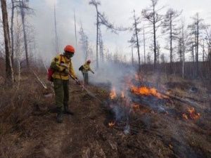 Айсен Николаев рассказал о подготовке к пожароопасному сезону в Якутии