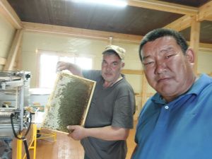 Иппотерапия и отдых в апидомиках: семья из Вилюйского района открыла уникальную экоферму