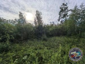 В Нюрбинском улусе продолжаются поиски пропавшего тракториста: мужчина не найден уже вторые сутки