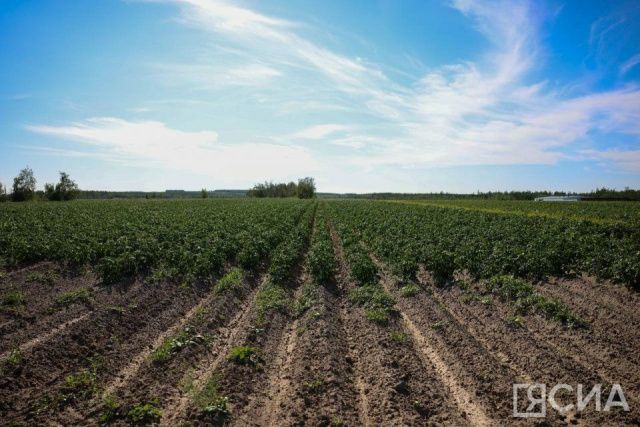 Народные приметы на Миронов день 2023: что нельзя делать 21 августа