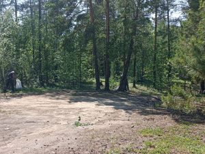 Погода в Якутске 2 июля