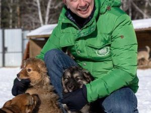 Владимир Бурматов возглавит рабочую группу по принятию поправок к закону об ответственном обращении с животными