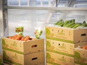 В Якутске в некоторых точках под брендом «Саюри» продают привозную продукцию 