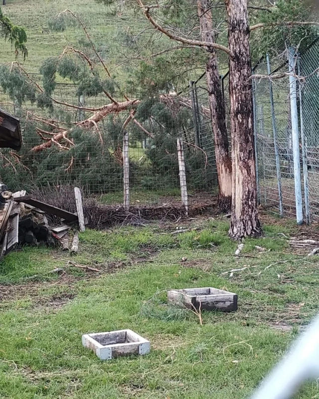 Ураган обрушился на зоопарк «Орто Дойду»