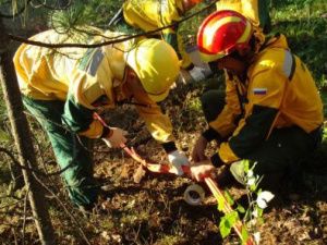 Для тушения пожаров в Якутии провели взрывные работы и вызывали искусственные осадки