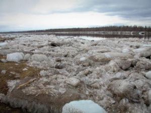 На реках Лене и Алдан ледоход продвигается двумя участками
