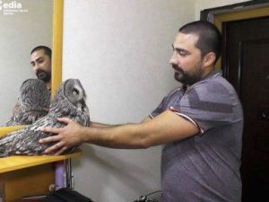 В Усть-Нере семья приютила сову