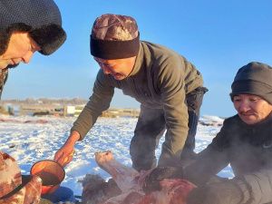 Айсен Николаев принял участие в традиционном забое скота