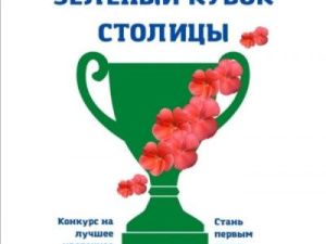 В Якутске стартовал конкурс на лучшее озеленение «Зеленый кубок столицы»