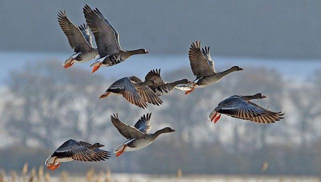 У фанатов охоты в Якутии начинается жаркий сезон