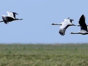 В Аллаиховском районе будет создан заповедник ЮНЕСКО